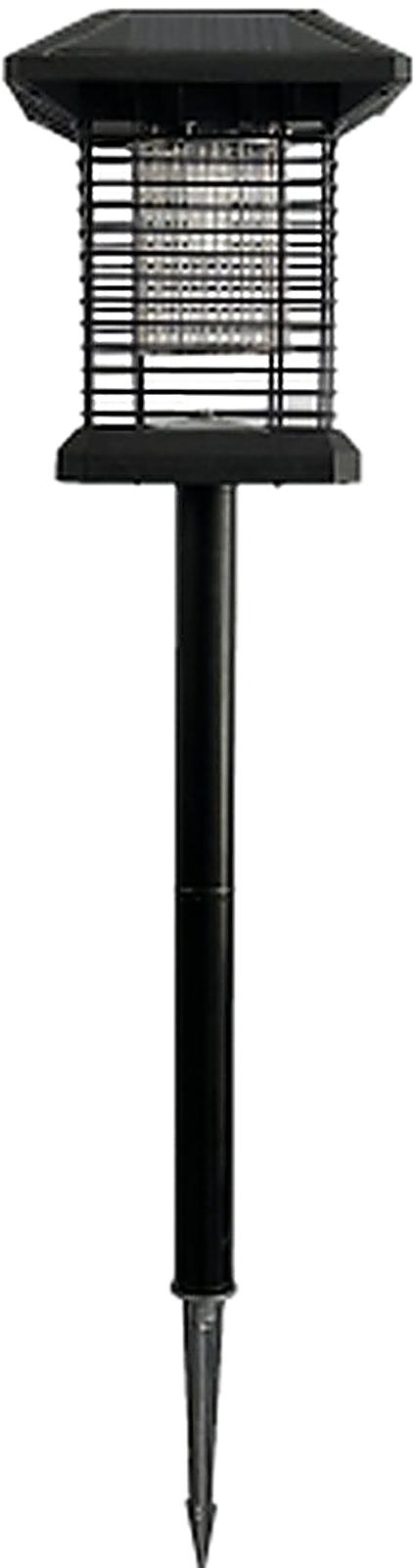 FBA-8