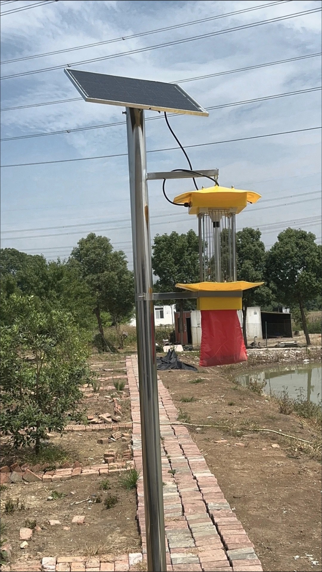 Solar lamp by pond