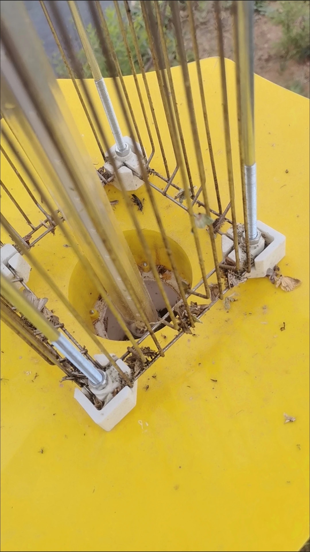 Close-up of trap effect
